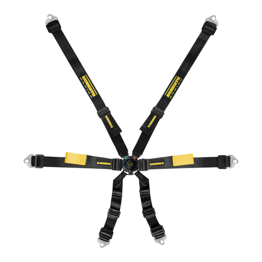 Schroth Enduro 2x2 FIA Harness